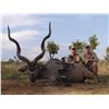 Image 1 : South African Hunt for Kudu, Impala and Warthog