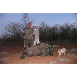 South Africa Wildebeest