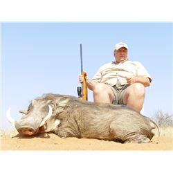 South Africa Impala and Warthog