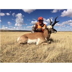 Fair Chase Pronghorn Antelope Hunt in Craig, Colorado (2018)