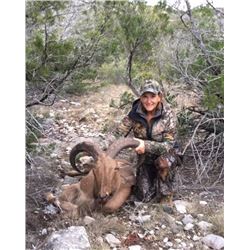 Fair Chase Trophy Aoudad Hunt in Carta Valley, Texas