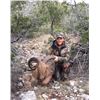 Image 1 : Fair Chase Trophy Aoudad Hunt in Carta Valley, Texas