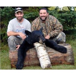 Maine Black Bear Hunt