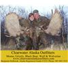 Image 3 : Alaska Moose Hunt