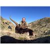 Image 1 : Spanish Ibex Grand Slam