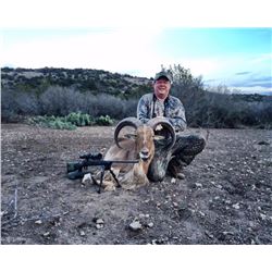 Fair Chase Trophy Aoudad Hunt in Carta Valley, Texas