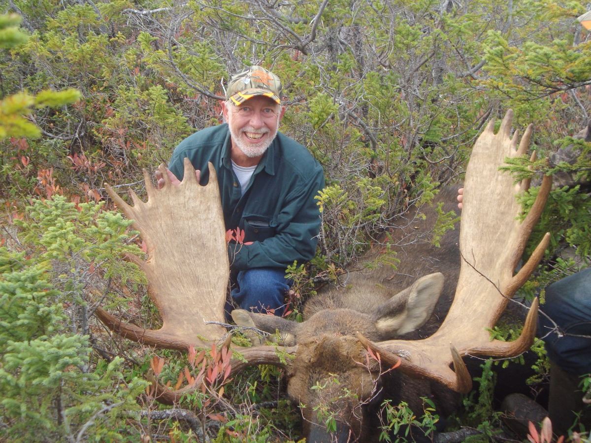 Newfoundland Moose Hunt