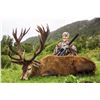 Image 1 : New Zealand Red Stag Hunt