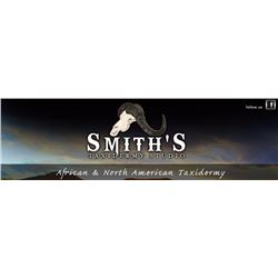 Life Size Mount-Hardwood Base-Habitat Display