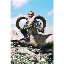Eight Day Dagestan Tur/"ibex" hunt in Azerbaijan