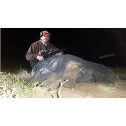 Wild Hog Hunt in Georgia