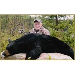Spring Black Bear Hunt in Quebec