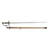 Image 1 : US Model 1860 Staff & Field Sword