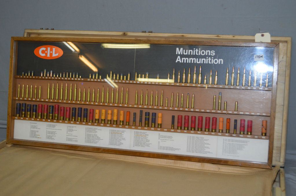 CIL Bullet & Shell Display # 9 Display [ 4'3