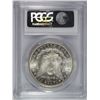 Image 4 : 1883-CC GSA MORGAN SILVER DOLLAR, PCGS MS-64+