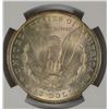 Image 3 : 1900 MORGAN DOLLAR NGC MS-64