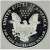 Image 3 : 1995-P AMERICAN SILVER EAGLE PCI GRADED PERFECT PROOF DCAM