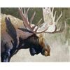 Image 1 : Moose Portrait, by Edward Suthoff