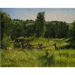 Don't Fence Me In, by Don Dernovich