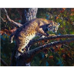 On a Limb, by Brandon Bailey