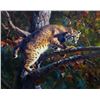 Image 1 : On a Limb, by Brandon Bailey