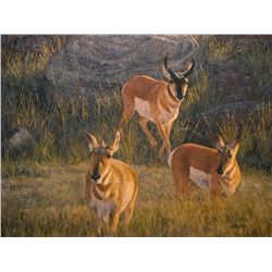 Early Morning Encounter, by James Reid