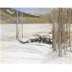 Aspen Shadows, by Ann Justin