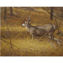 Mule Deer Buck, Spooked, by James Reid