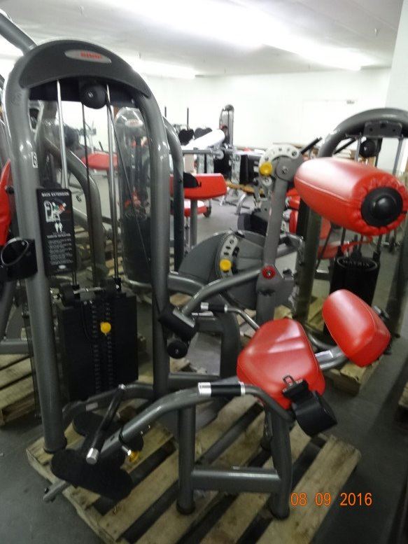 Matrix Back Extension