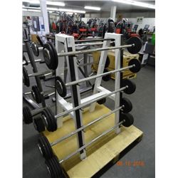 King weight stand with weights