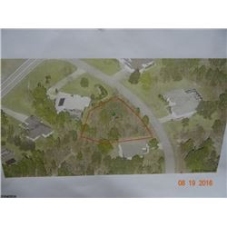 Oak VIllage _ Sugarmill Woods Property Lot 7, Block B-176 - 4 Carnation St - Homosassa FL