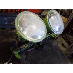 Green Floodlights (2)