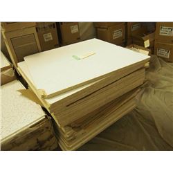 Ceiling Tile, Unboxed