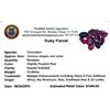 Image 2 : 10.45 ctw Fancy Ruby Parcel
