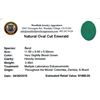 Image 2 : 3.49 ctw Oval Emerald Parcel