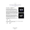 Image 5 : 4.94 ctw Tanzanite, Sapphire and Diamond Ring - 14KT White Gold