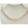 Image 1 : #30-STERLING SILVER FRESHWATER PEARL NECKLACE