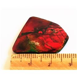 21MM X 22 MM AMMOLITE GEMSTONE