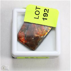 35MM X 17 MM AMMOLITE GEMSTONE