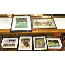COLLECTION OF 6 ESTATE WILDLIFE PICTURES