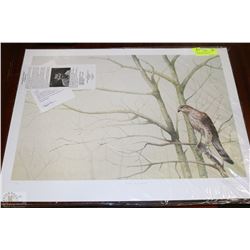 LIMTED EDITION NEIL KOLACZ "YOUNG BLUE DARTER"