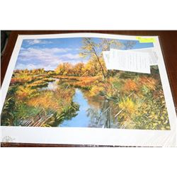 LIMITED EDITION MARNIE COLLINS "ALBERTA GOLD"