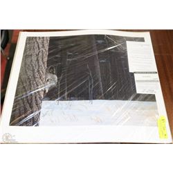 LIMITED EDITION R.J. AKERMAN "TWILIGHT ENCOUNTER"