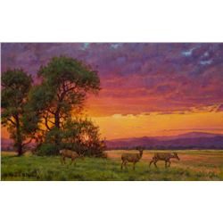 Springhill Sunset, by Bruce D. Pierce