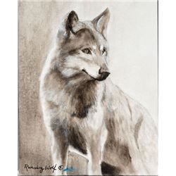 The Glance, by R.  Running Wolf