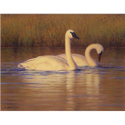 Evening Pair, by Kelly Dangerfield