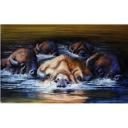 Night Crossing, by Jerri Shrader