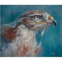 Hawk Eye, by Robin Sorg