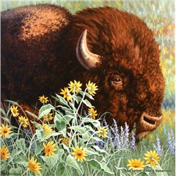 Bison & Balsamroot, by Mark Kortnik
