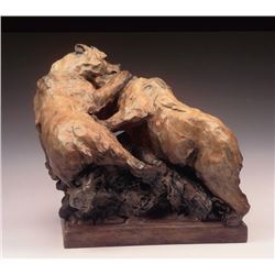 Boys in a Tussle, by Sherry Salari Sander
